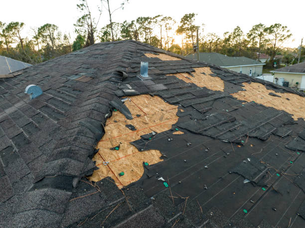 Steel Roofing in Coleman, TX